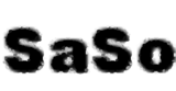 SaSo-logo01